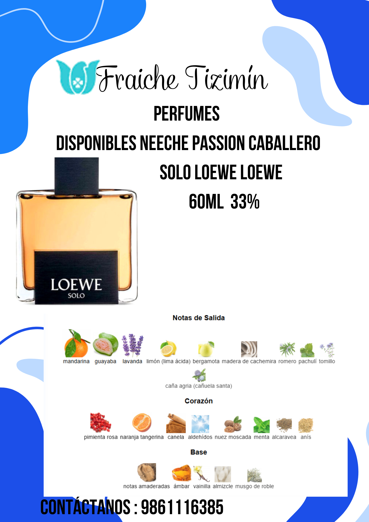 Solo Loewe Master